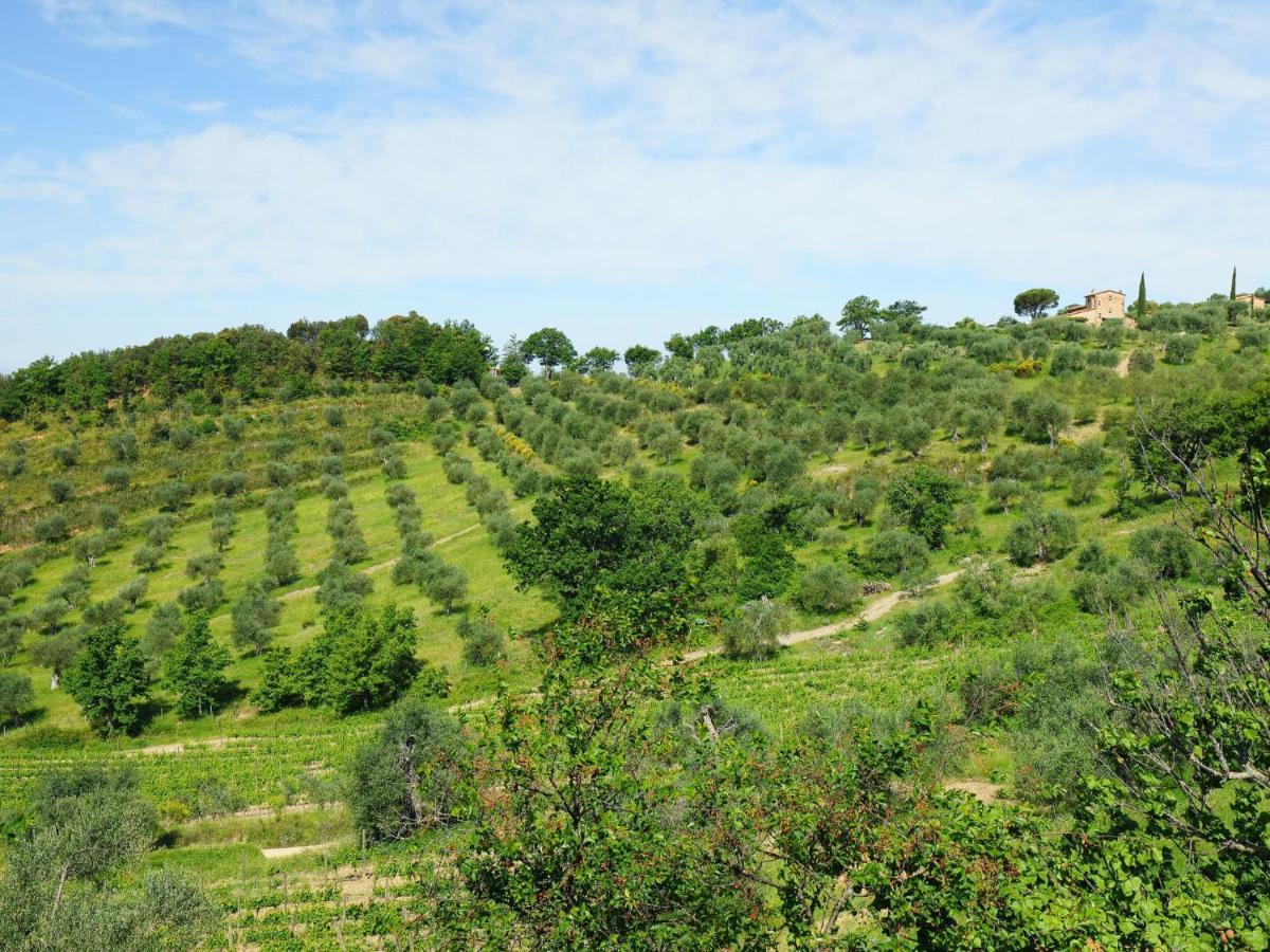 Holiday Home Poggio Velluto By Interhome Seggiano ภายนอก รูปภาพ