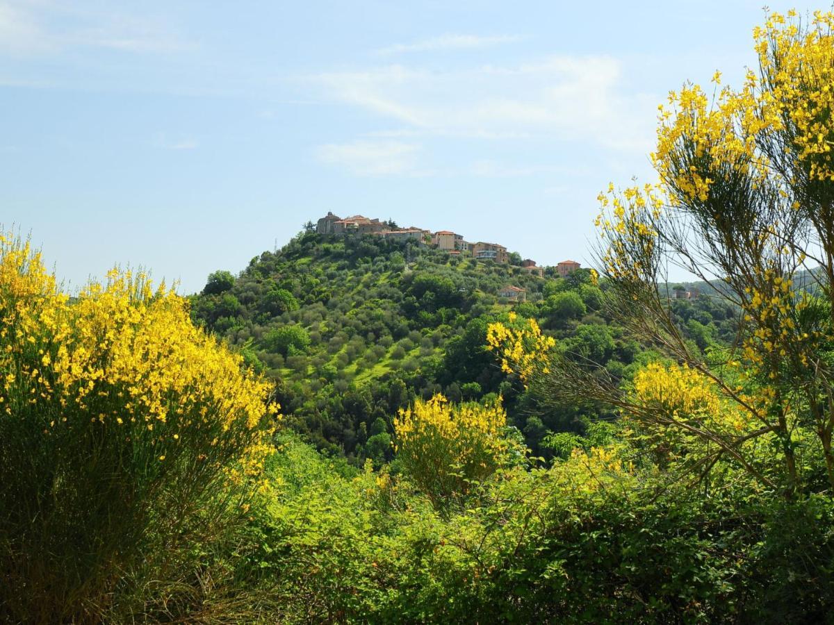 Holiday Home Poggio Velluto By Interhome Seggiano ภายนอก รูปภาพ